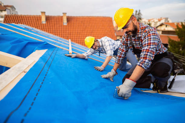 Best Flat Roof Repair Services  in Lower Grand Lagoon, FL