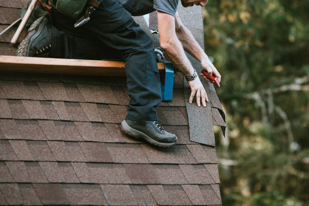 Professional Roofing Contractor in Lower Grand Lagoon, FL
